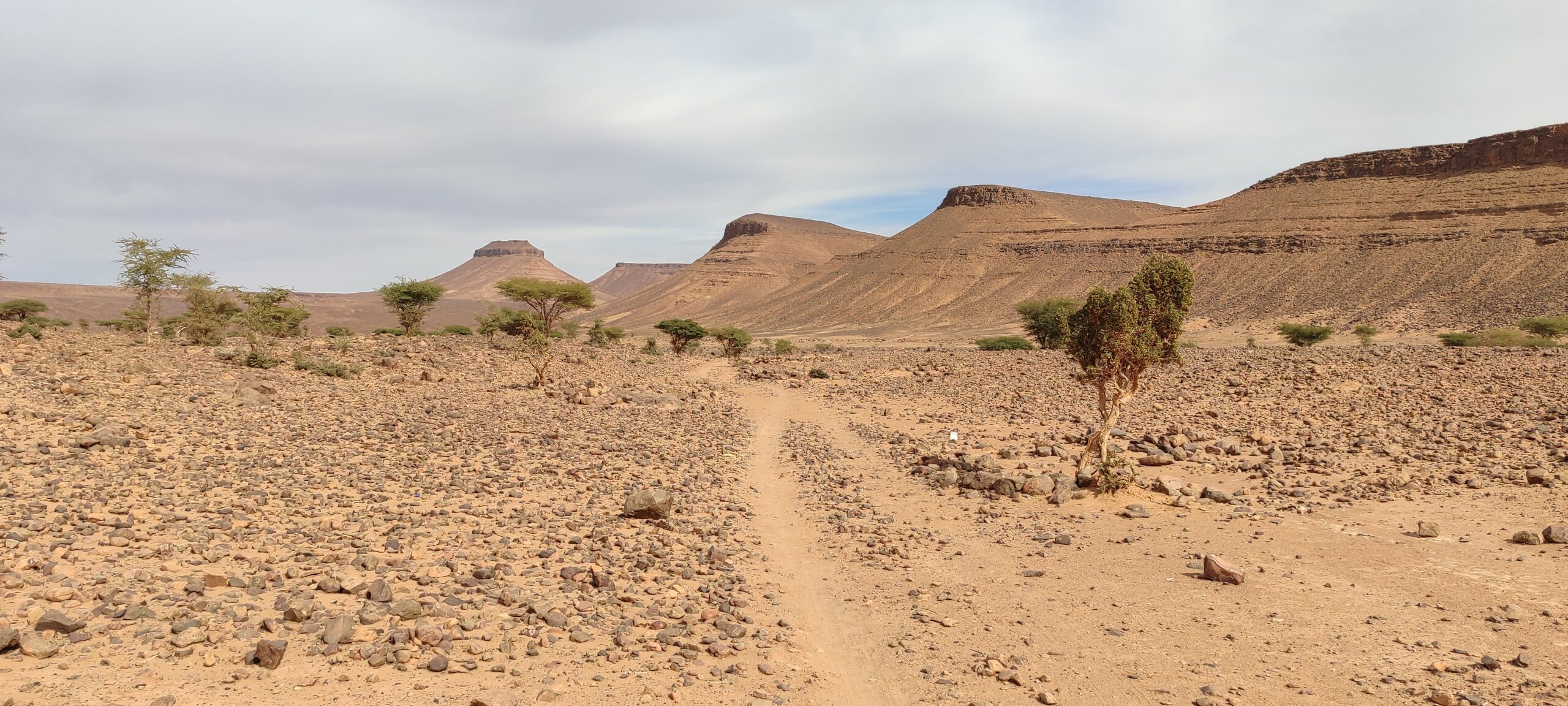 SAHARA EXPEDITION: Descovering the desert